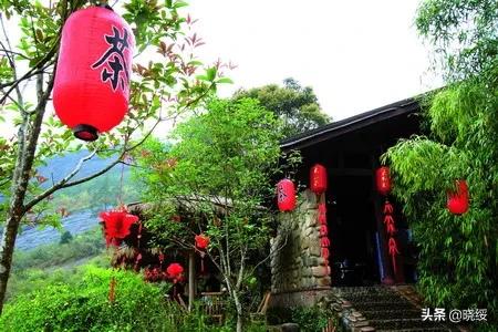 七碗茶诗原文解释翻译赏析（品读赏析著名咏茶七言诗）