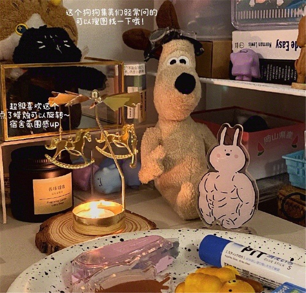 住宿舍能有多舒适？姑娘们晒出自己的改造方式，把宿舍变成了家
