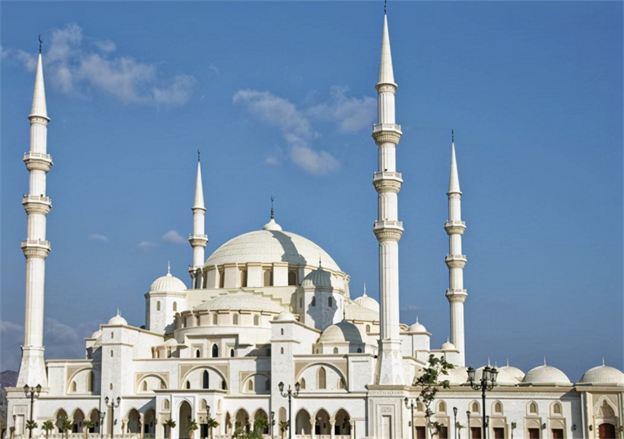 尼罗河乳胶枕价格(苏丹) - 价格百科