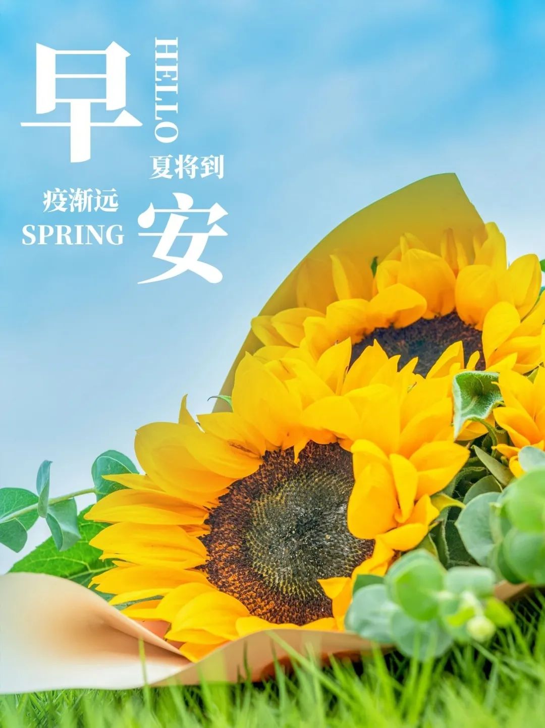 2022早安最火图片 自然风景早上好图片带字图片