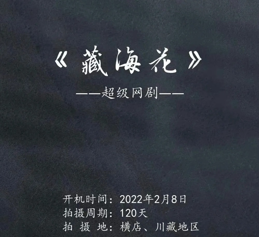 井柏然,谭松韵《归路》许凯,景甜《乐游原》鞠婧祎,陈哲远《仙剑奇侠