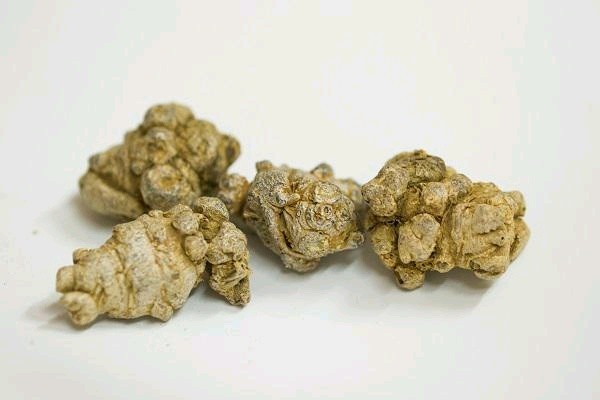 片仔癀是什么 片仔癀多少钱一粒价格表-朝阳百科