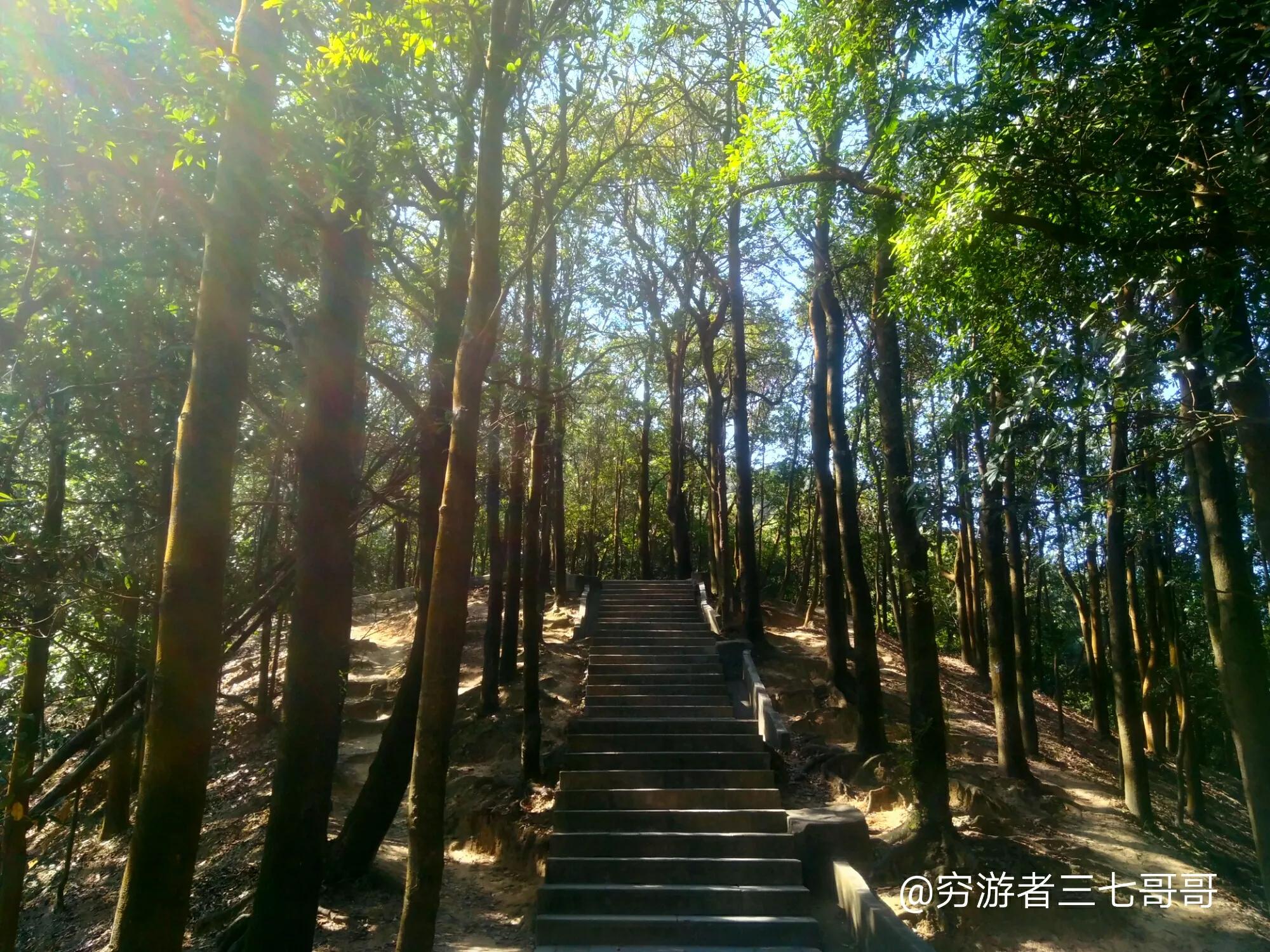 深圳8个免费旅游景点，你去过几个？