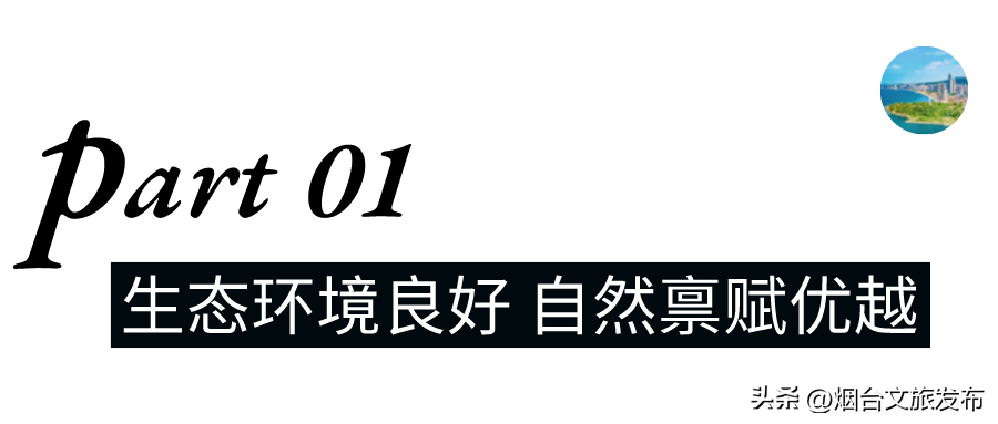 烟台景区有哪些景点（烟台景区有哪些景点免费）-第2张图片-科灵网