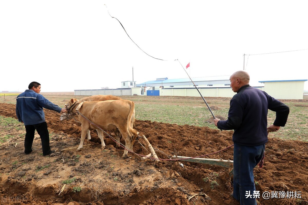 冬至快到要“进九”了，什么时候出九？春节在几九，几九最冷？