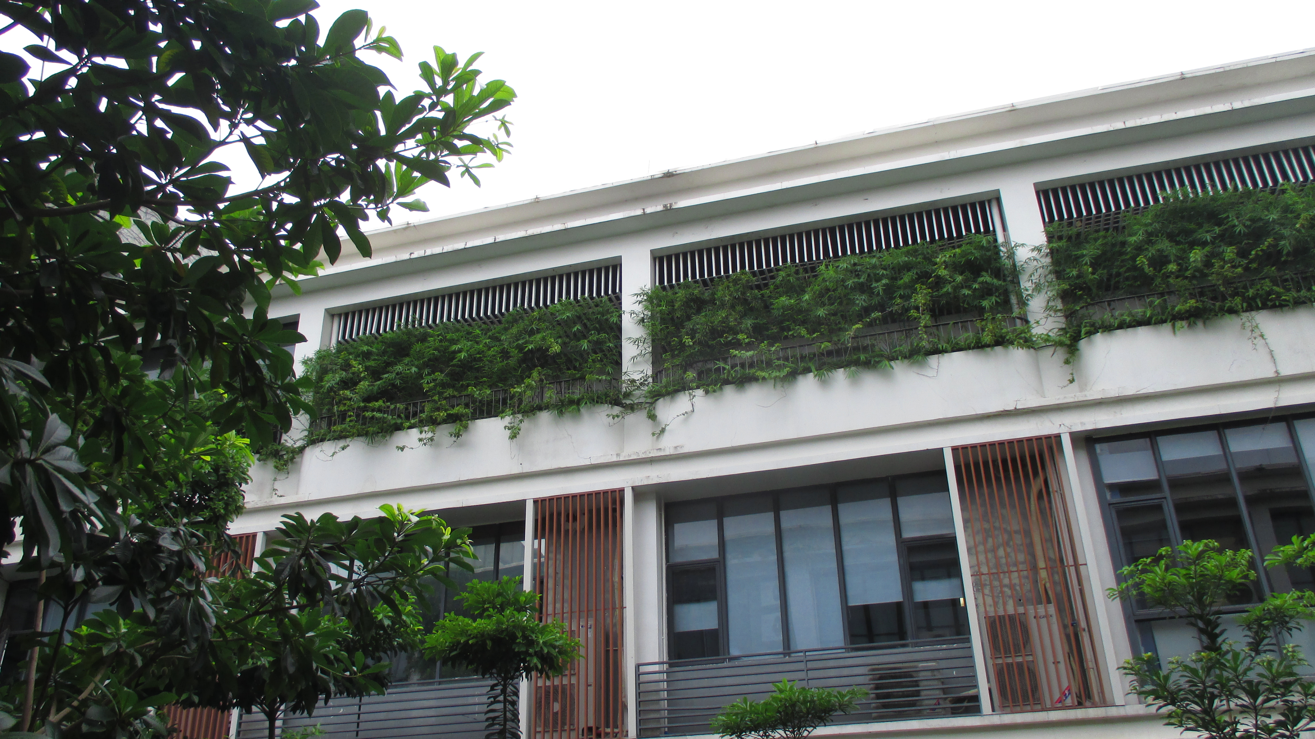 被时代淘汰的CCD卡片机，在小红书上重新走红