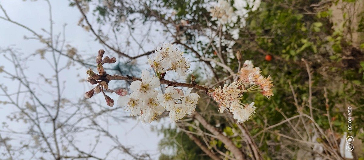 玩游戏这样才快乐，“性能霸王龙”联想拯救者Y90上手实测