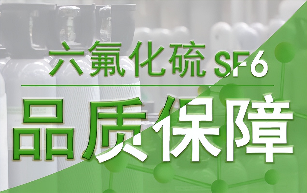 2022-2028全球与中国电子特种六氟化硫SF6市场现状及未来发展趋势
