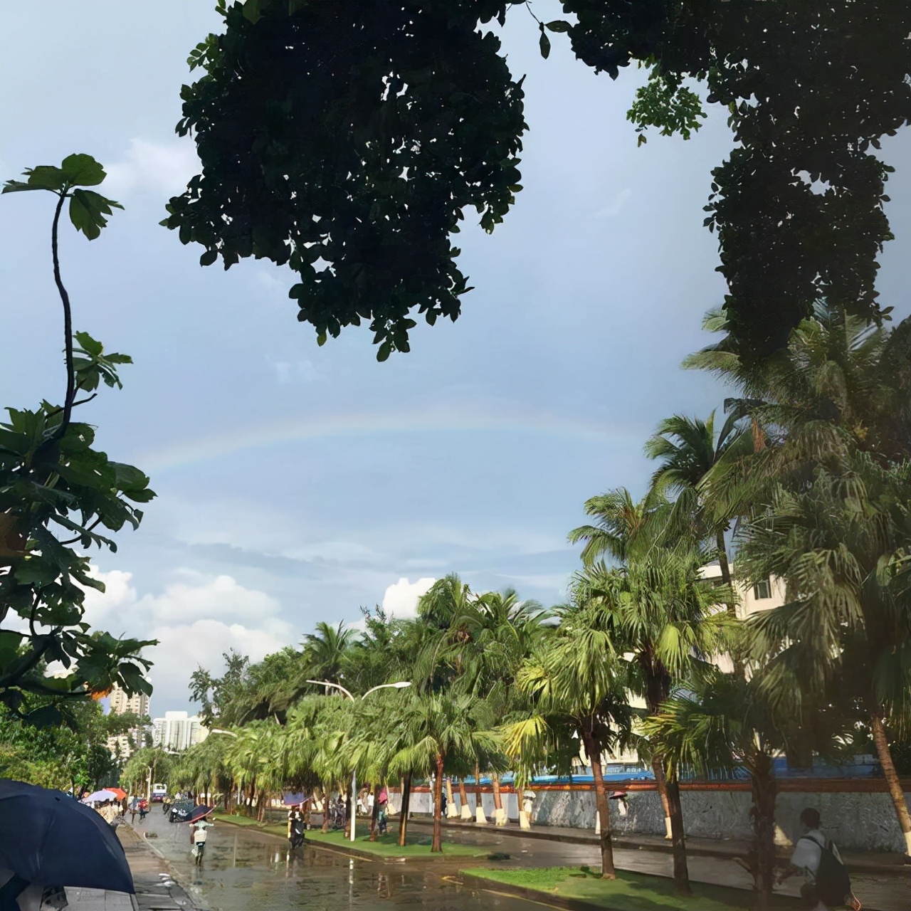 海南大学考研好考吗（小海螺海南大学考研政治学理论报考分析）