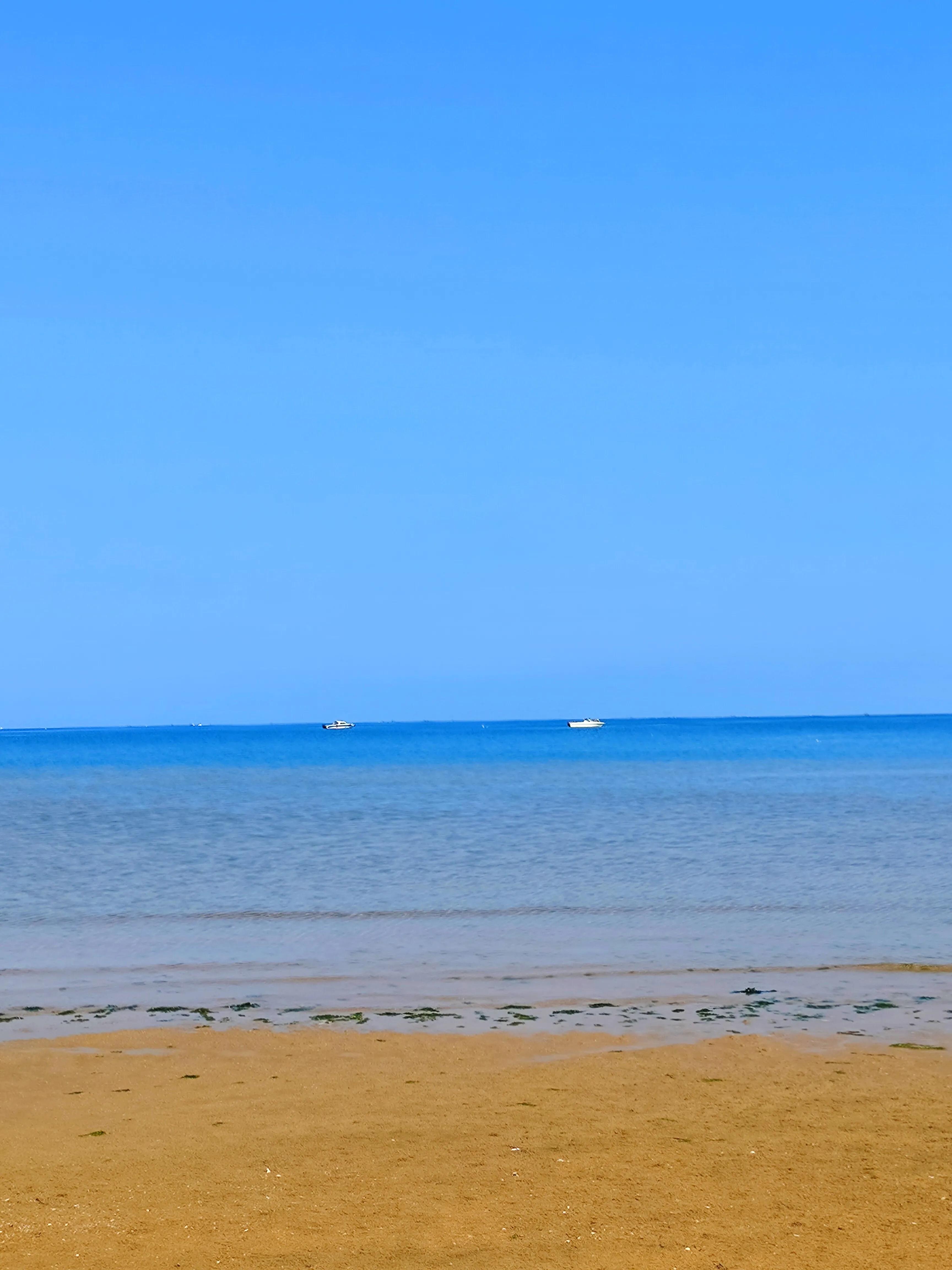 水天一色间，问一声那海鸥