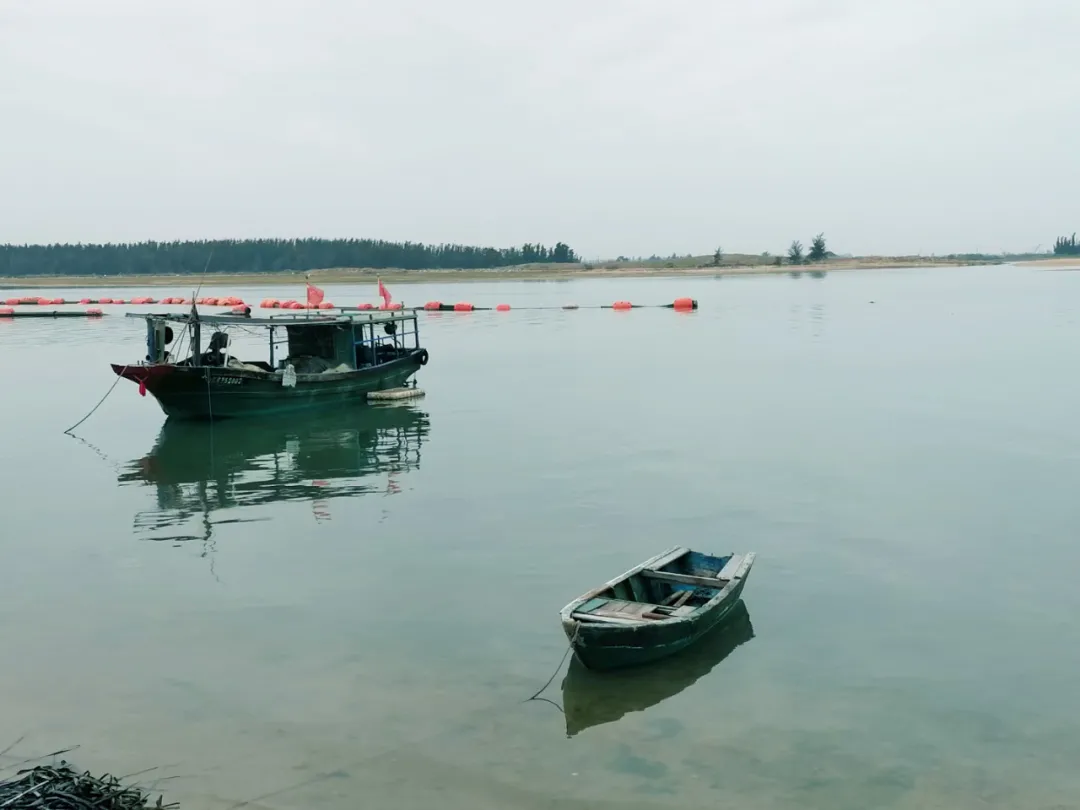 海南西线宝藏度假地，拥有媲美三亚的海景，物价却特别便宜