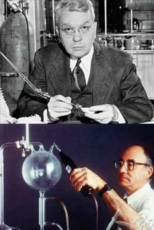 ���Ƕ������Ǻ����70������ʯ����DNA�ɷ֣���������������̫��