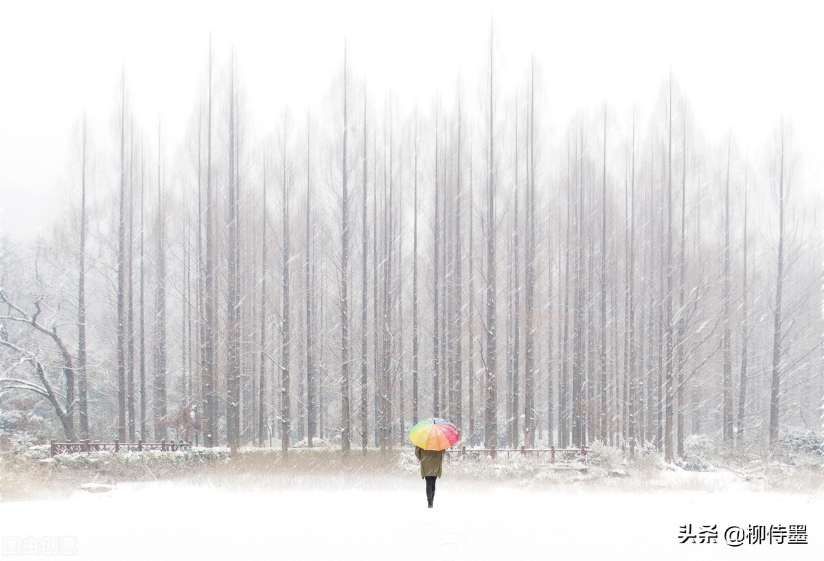 提升雪景照片的“高级”感，5个摄影技巧，让照片更有意境