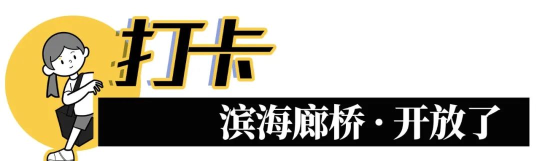 宝安体育场开放时间(一路向海！深圳「滨海廊桥」开了)