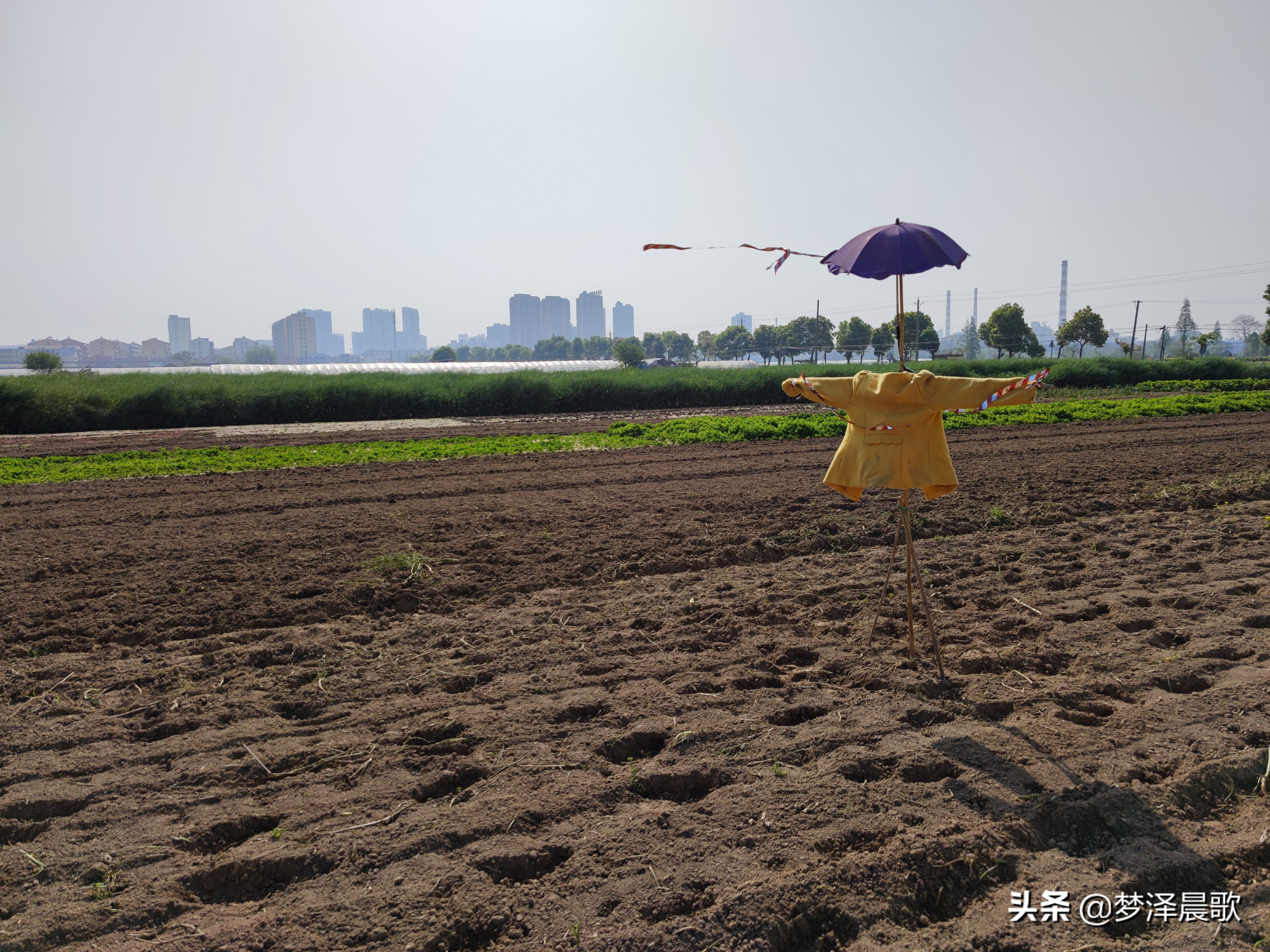 春日，乡村独特的“风景”