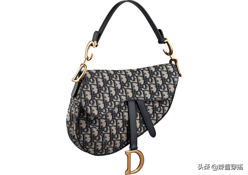 Dior Saddle、Book Tote到最新Micro Bag，一定要认识的5大经典包