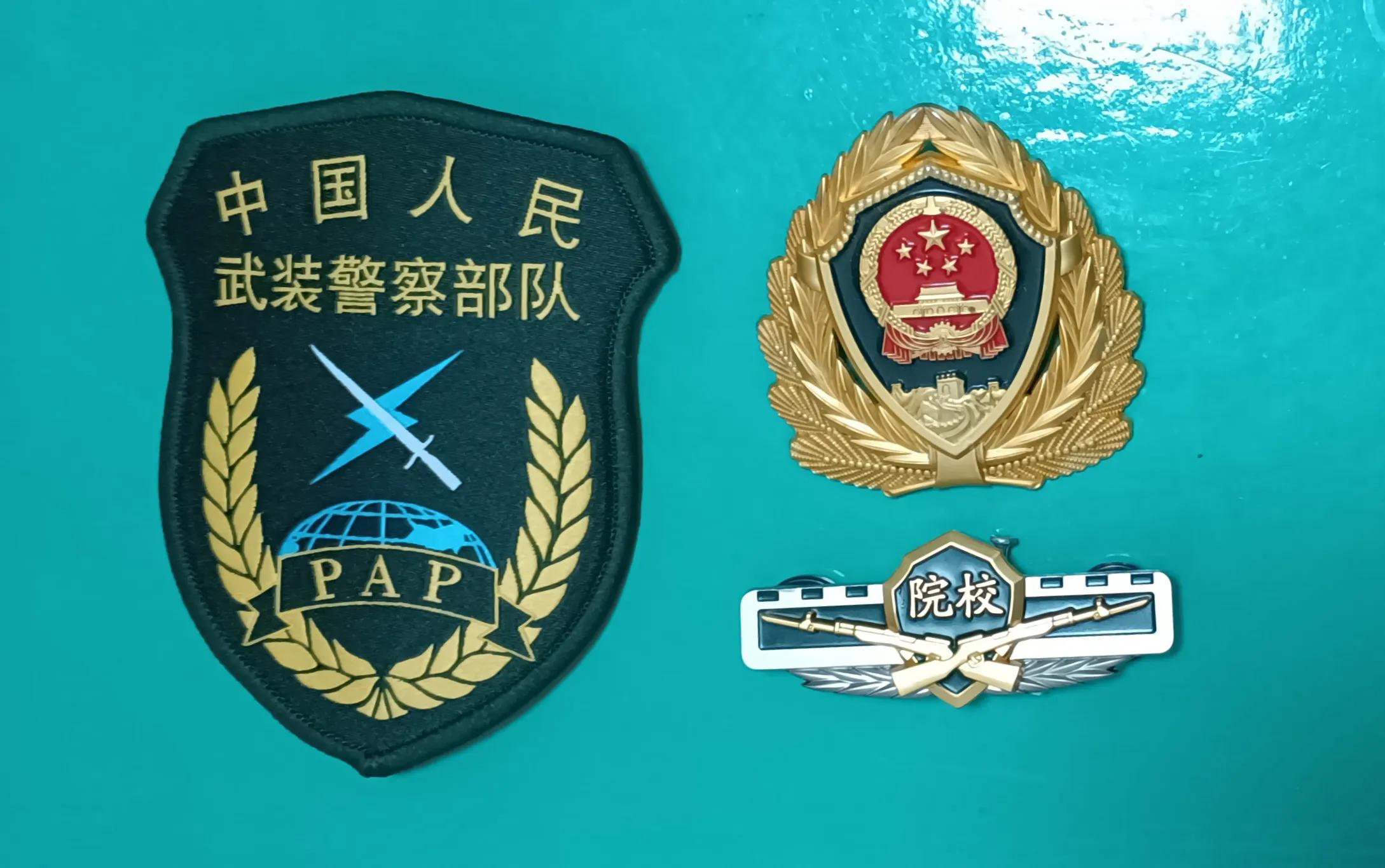 武装警察臂章图片