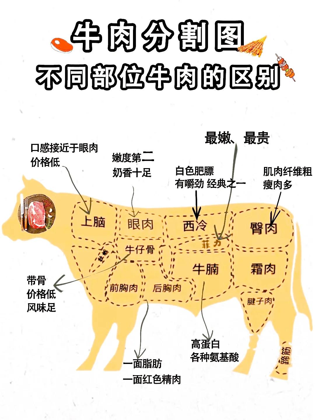 牛的位置图解图片