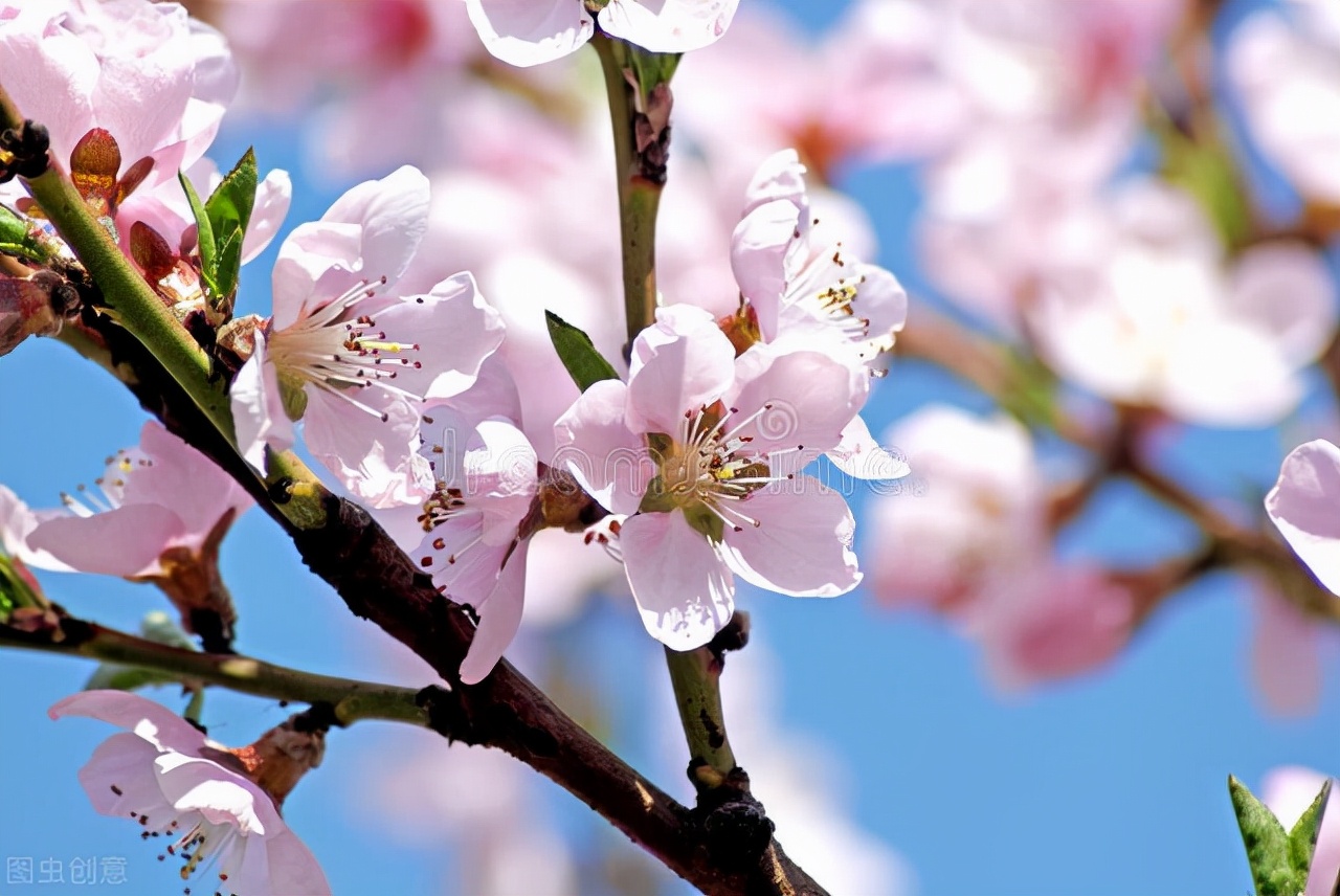 写一封情书给远方的爱人：好想你，一诺地久天长，一念地老天荒