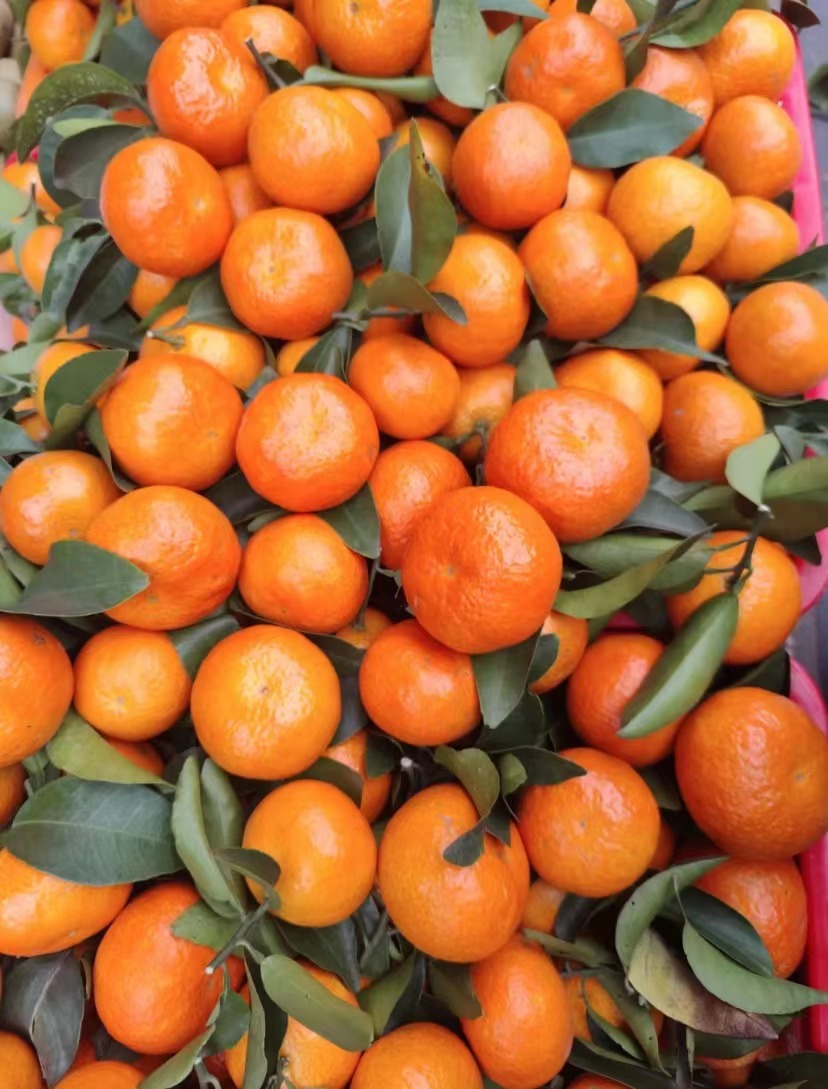 怎么去看世界杯（“伪球迷”如何宅家看世界杯，这份指南赶紧收下）