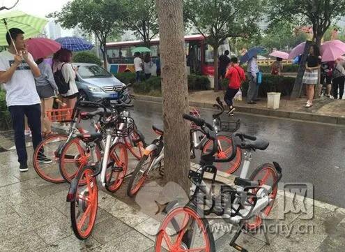 共享单车好不到哪里去