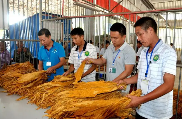 4所高校的校名朴实无华，却深受中国烟草青睐，毕业后薪酬也可观