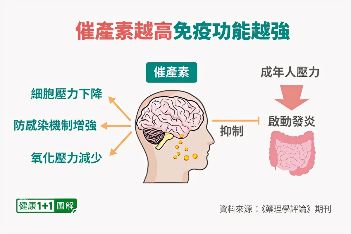 善良竟然有疗愈力！提升免疫功能、抗炎抗病毒