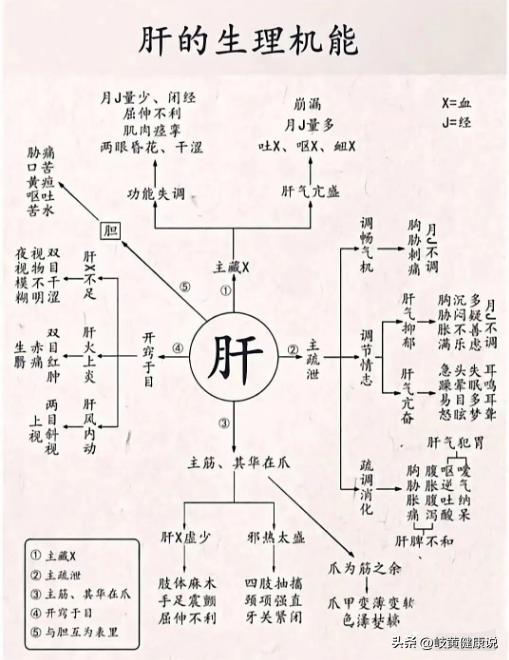 五脏中医知识,不会的朋友收藏好!