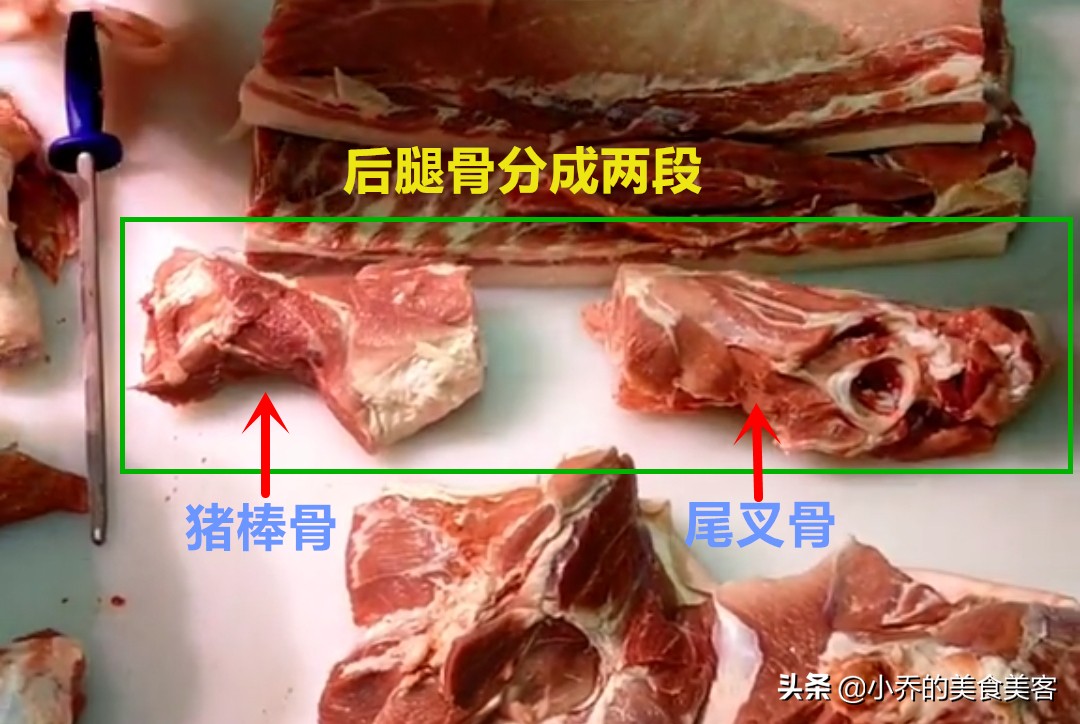 人体骨骼全身图解(5张图,教你认识猪身不同部位的骨头,从此,菜市场买