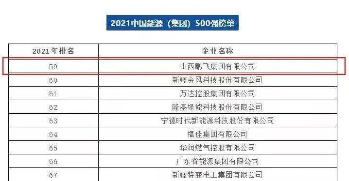 绿色鹏飞 引领未来——2021 成就令人振奋，2022 目标催人奋进