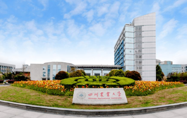 四川高校金字塔排名更新，川农进步越发明显，头把交椅却争议不断