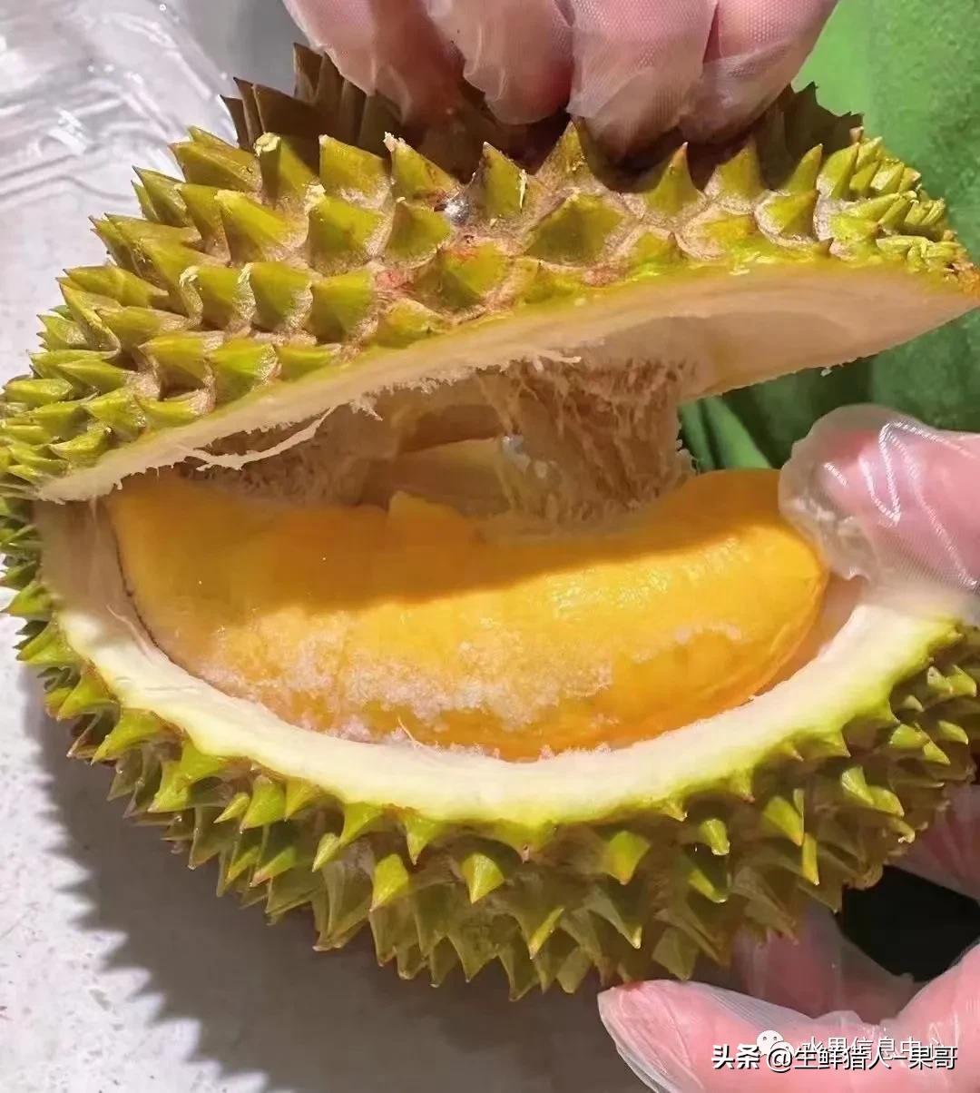 十大名贵水果「100种常见水果」