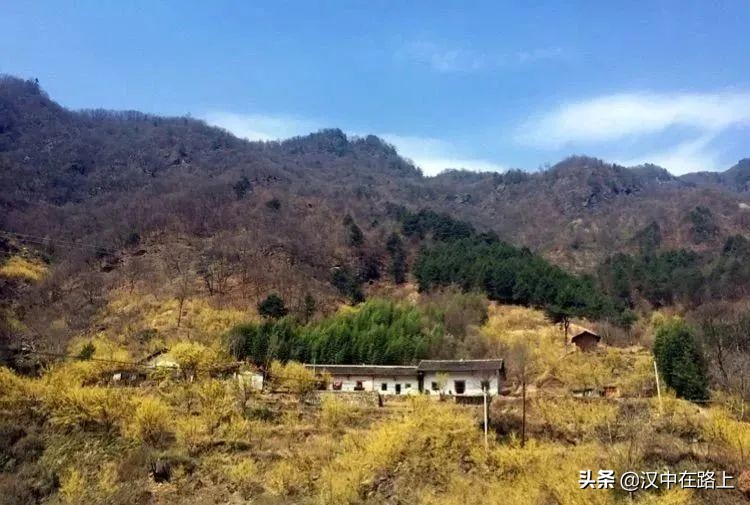 全部免費(fèi)！漢中鄉(xiāng)村賞花攻略出爐！妥妥安排