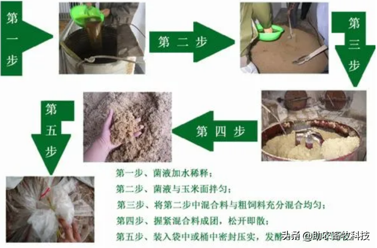 运用部分发酵饲料对养鸡有什么好处