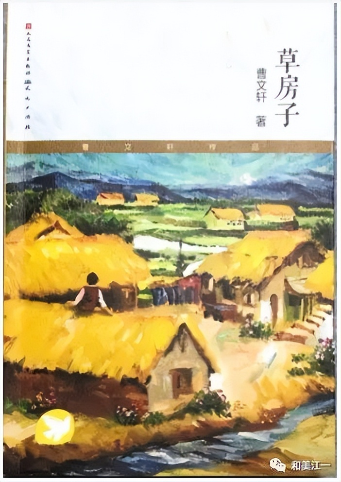 惠濟區江山路第一小學六年級七班的黃梓桐好書推薦——《草房子》