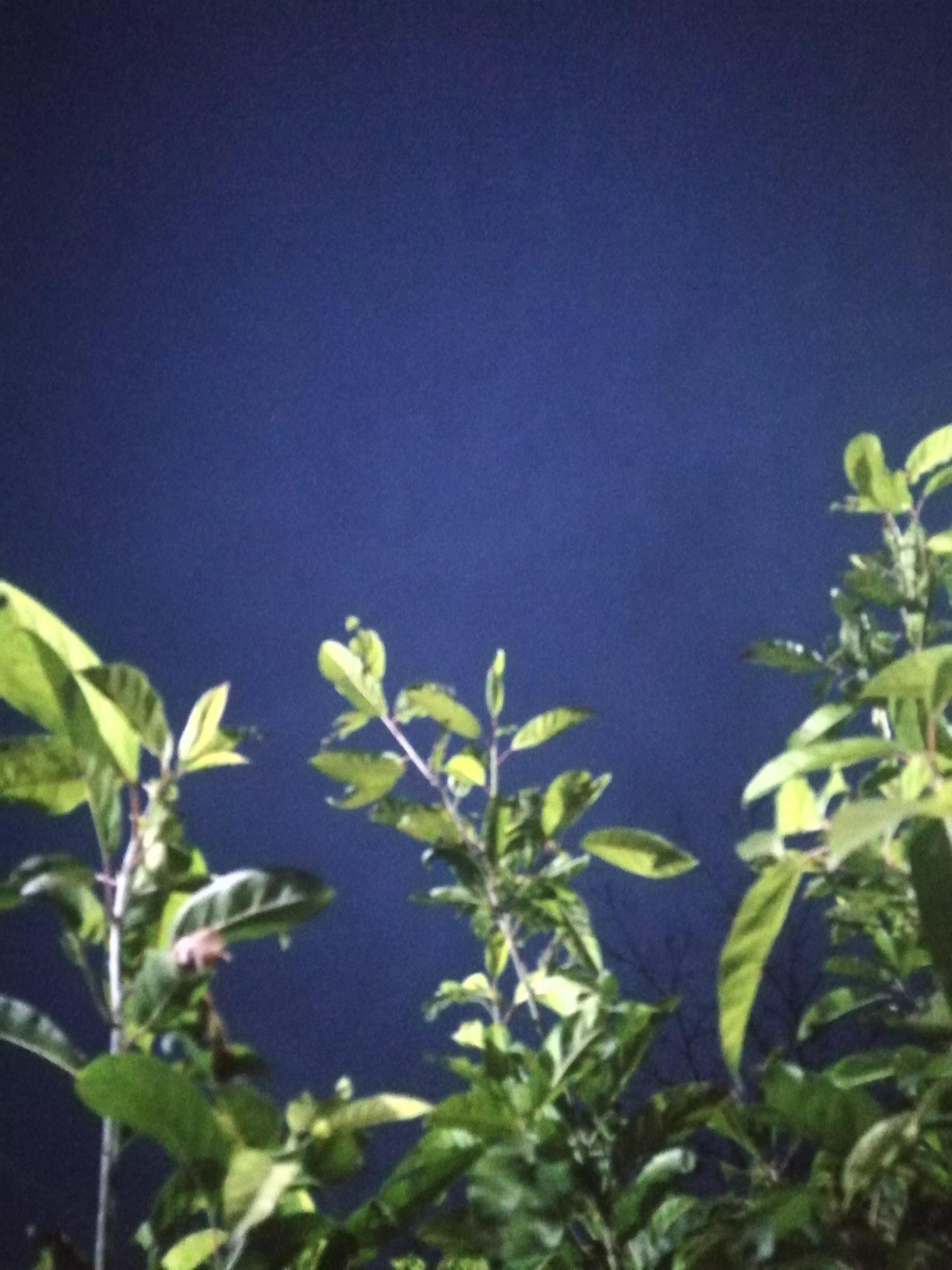 人生千里与万里，黯然销魂别而已