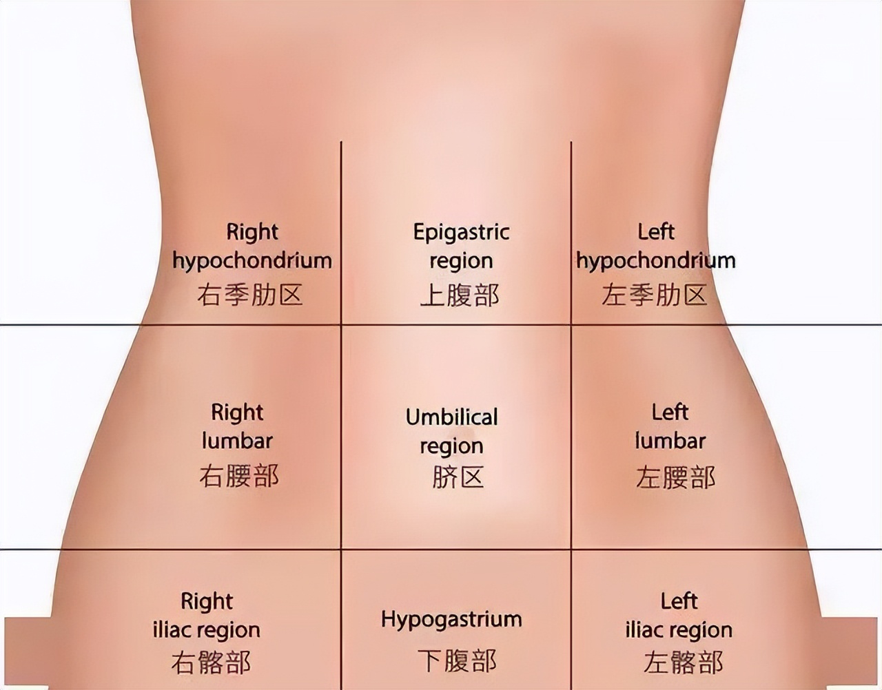 腹部右侧疼痛位置图图片