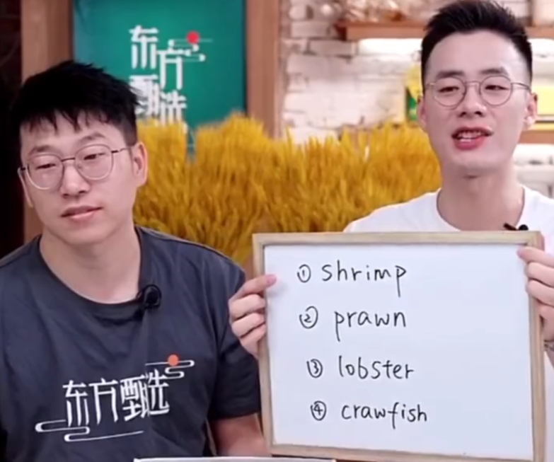 新东方靠“直播”翻红，一夜涨粉超百万，这就是“双语”的魅力