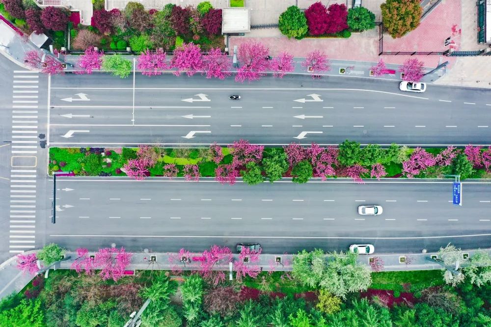 ������ء�ӣ���޶��������������ȡ��ۡ���