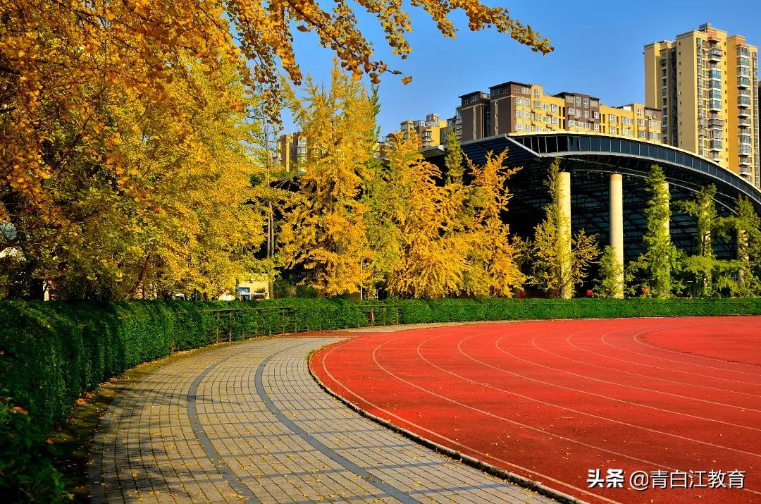 秋冬美图来袭① | 为你喜欢的校园美景投票吧