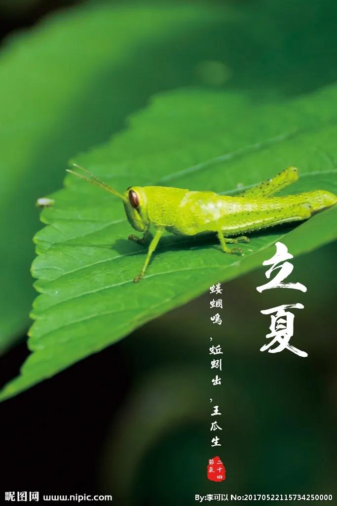 在《礼记61月令》中,解释立夏曰:"蝼蝈鸣,蚯蚓出,王瓜生,苦菜秀.