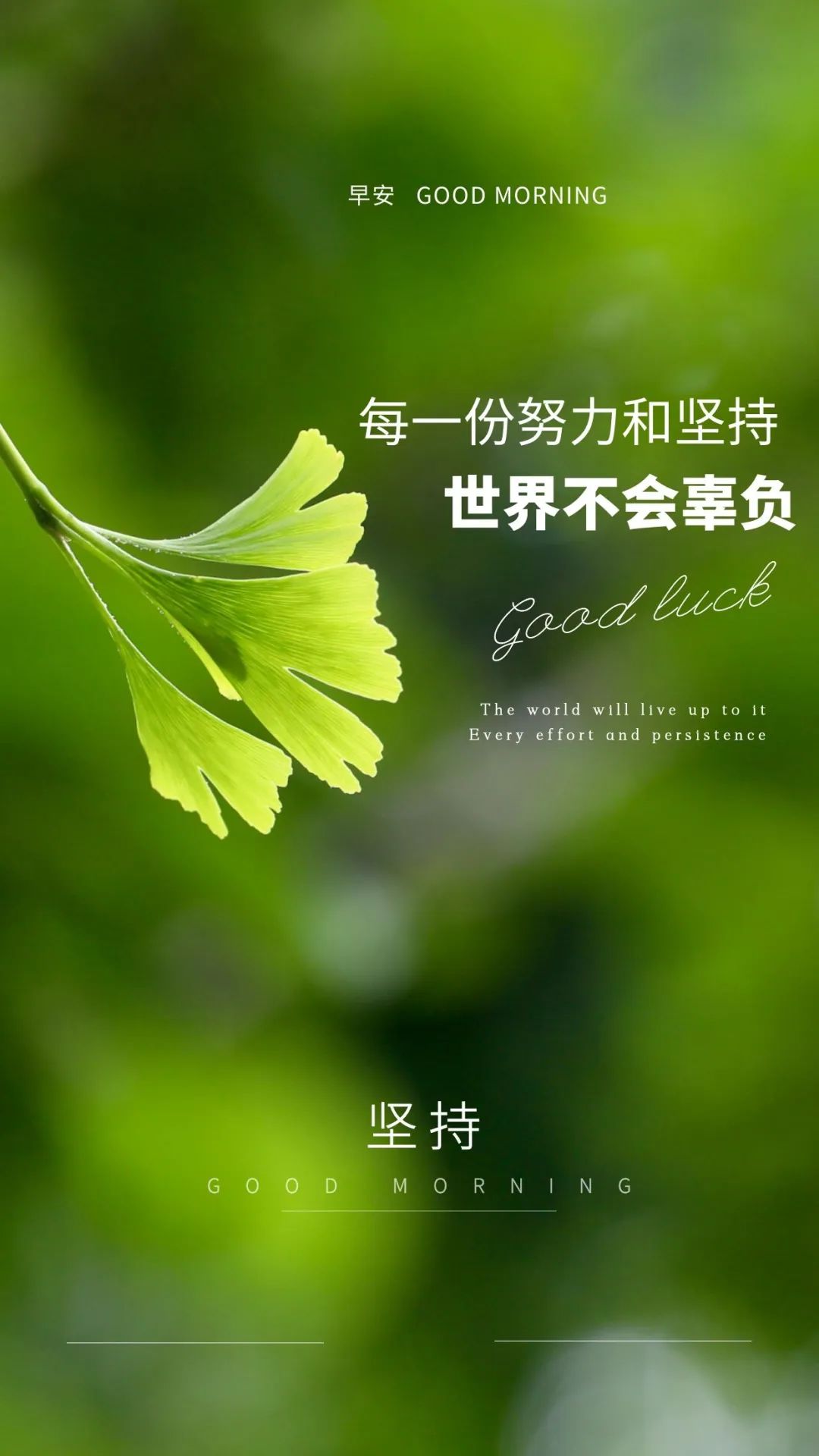 03.25」早安心语,正能量短句文案,最新版安经典说说图片