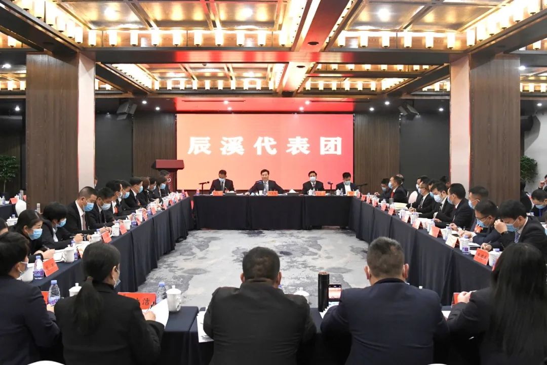 各代表团分组审议政府工作报告