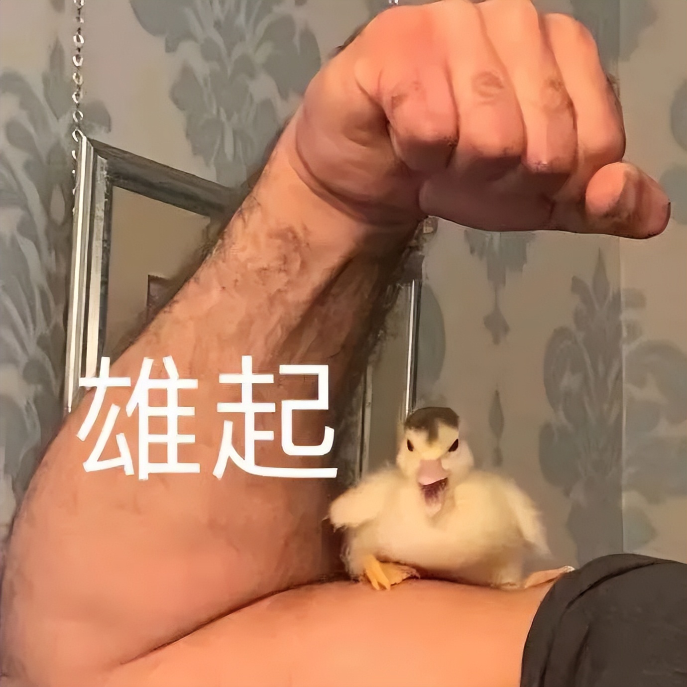 专升本考上民办学校，学费一年2w，要不要上？