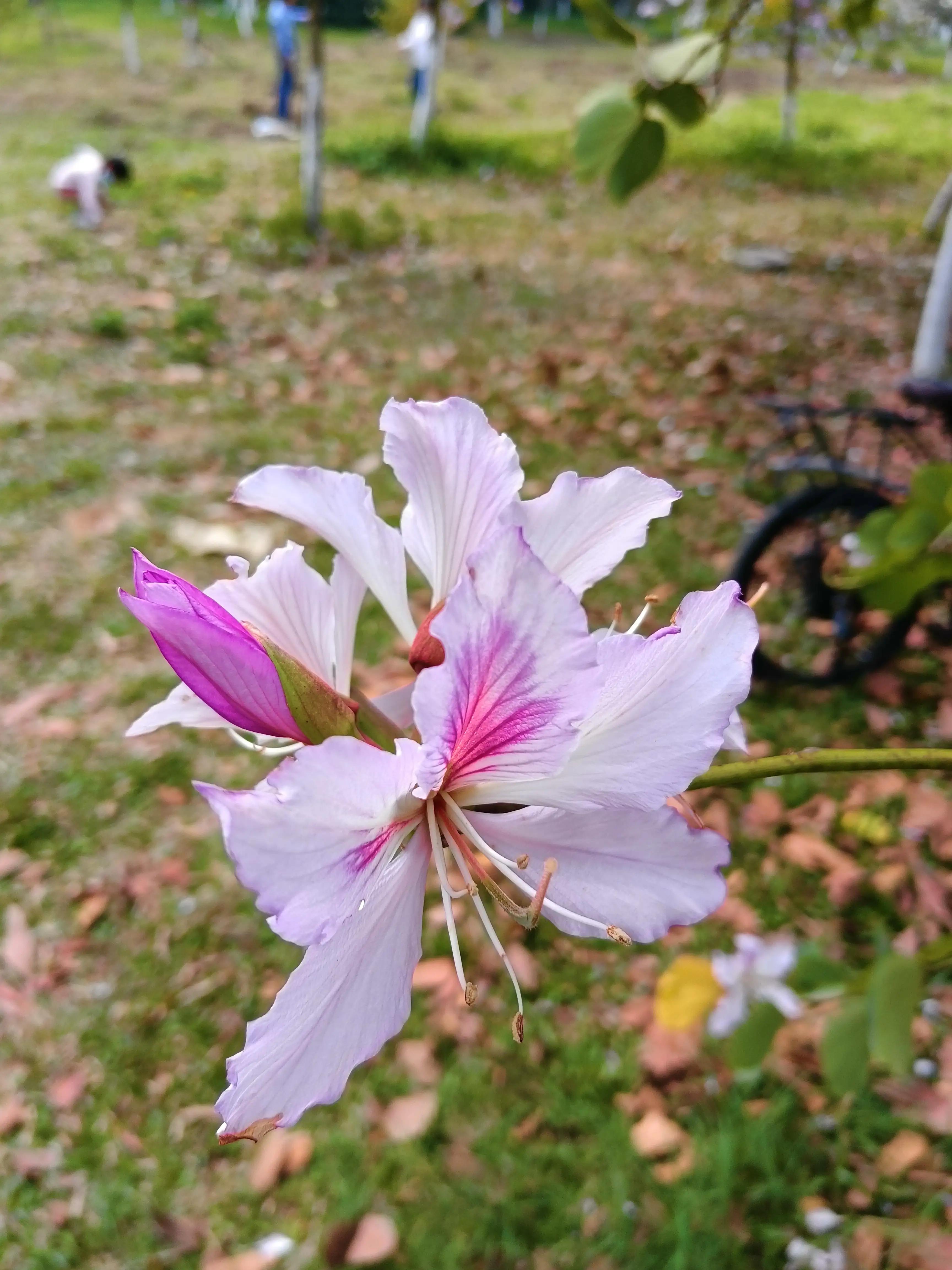 春暖花开，最美的时光在户外