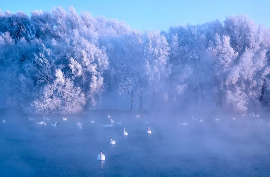 历尽天华成此景，八首有关雾凇的诗词，交织成一幅冬日美景