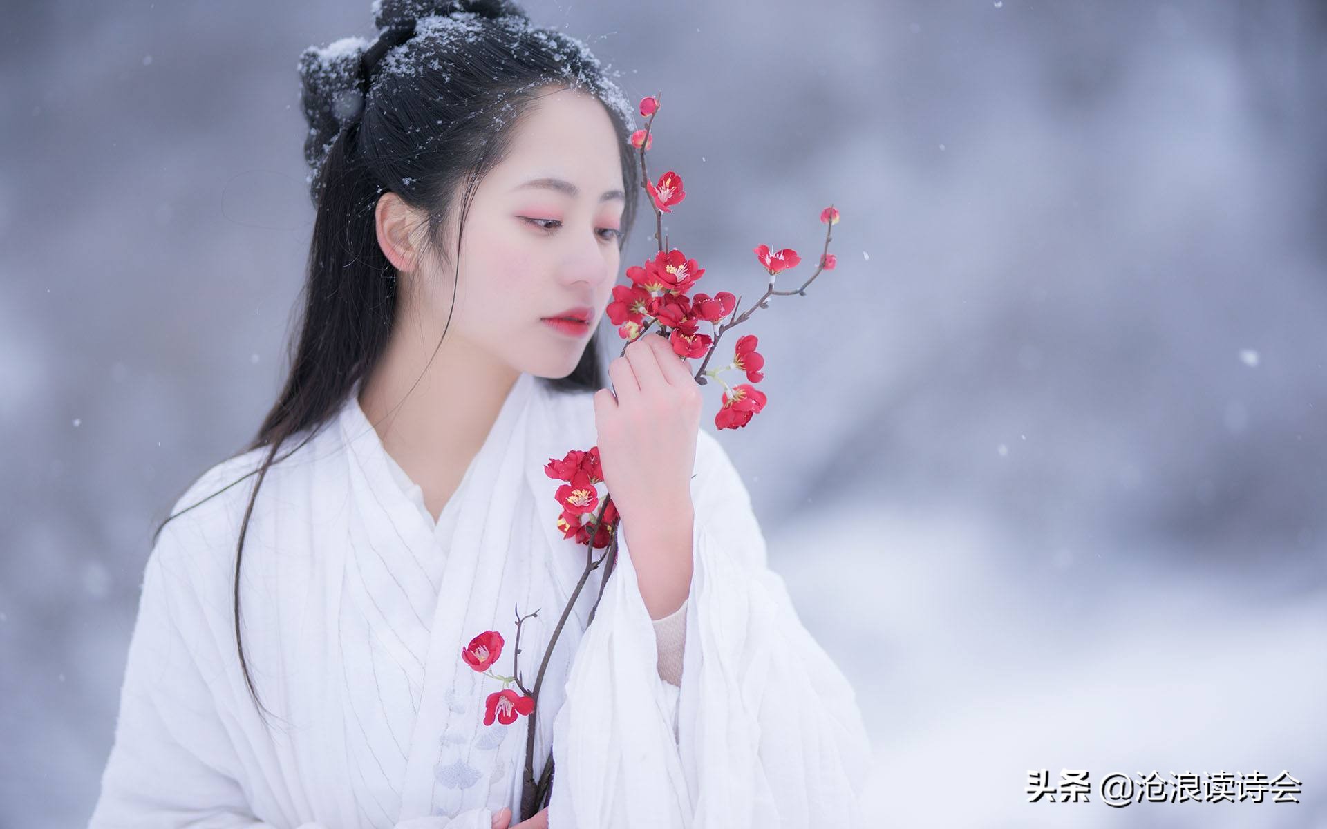 好诗如茶，温暖寒冬，广东才女34首诗词，写出人间烟火之美