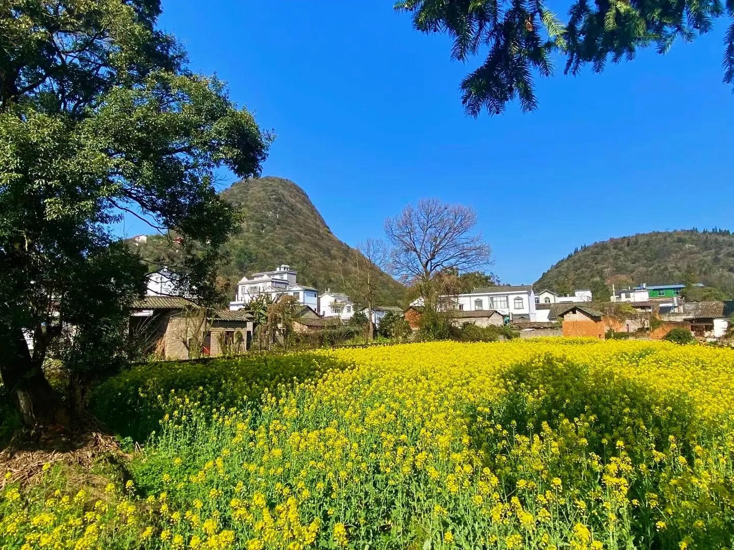 祖国春来无限好