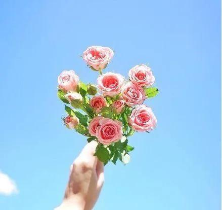 乐观心态正能量感悟,充满哲理,引人深思