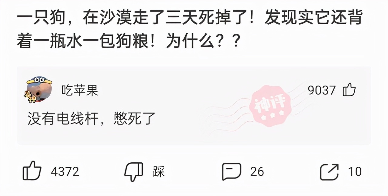 “没有买卖，就没有伤害！”让我以后怎么正视巧克力？哈哈哈
